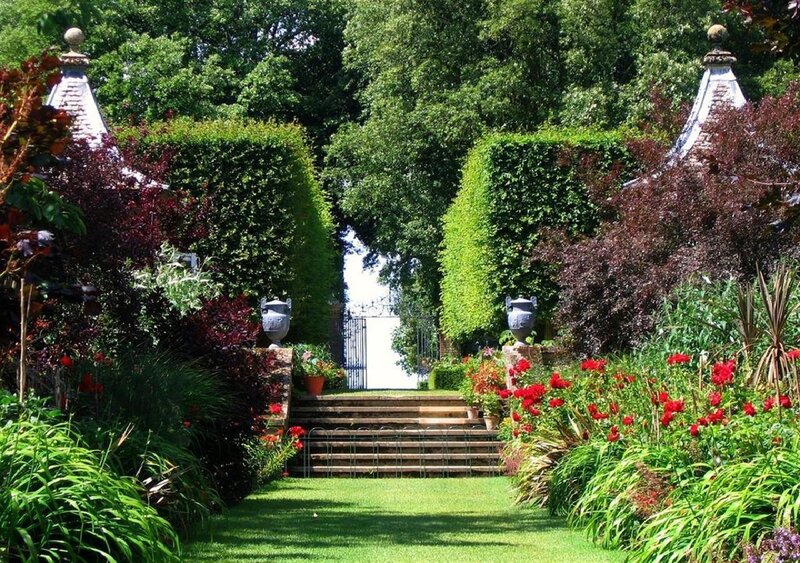 Garden with stone steps