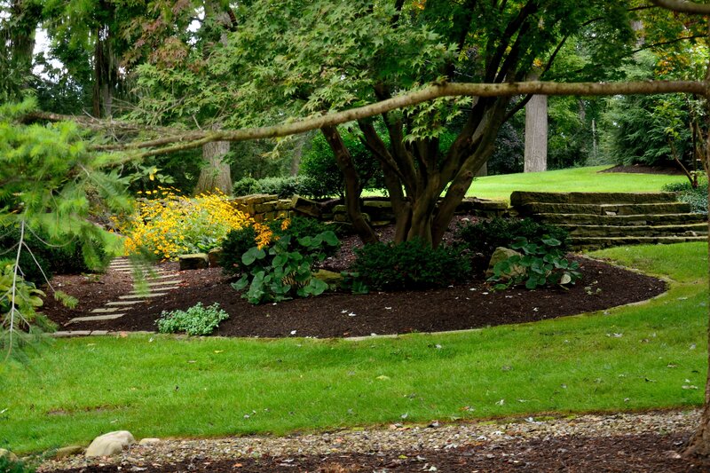 Garden with Stone Steps — Green, Serene, Summer