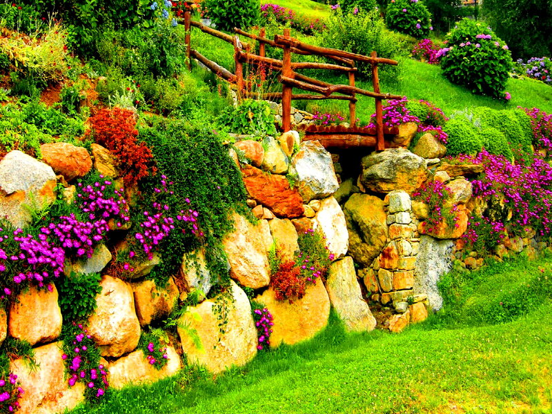 Garden with Stone Wall — Green