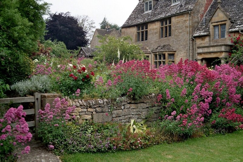 Garden with Stone Wall