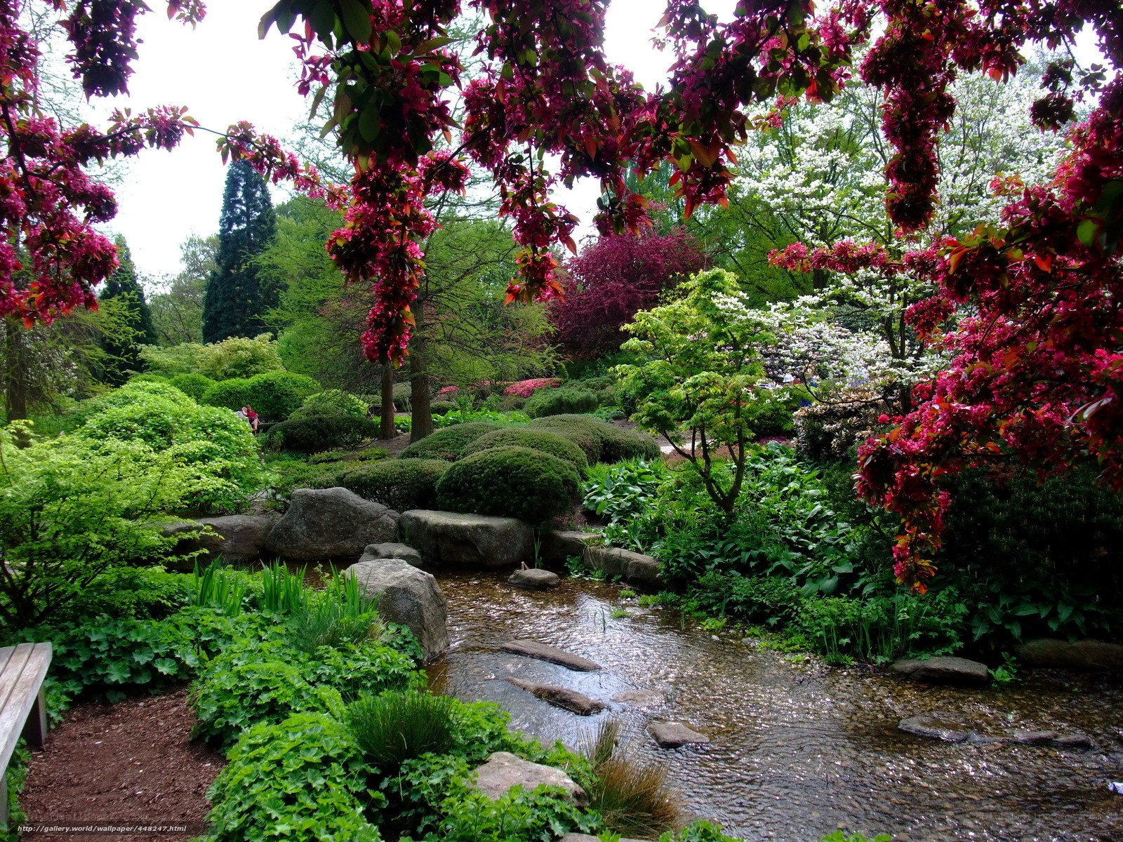 Garden with stream and blossoms