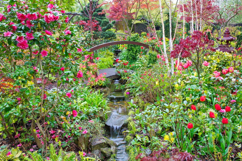 Garden with Stream and Bridge — Green, Serene, Spring