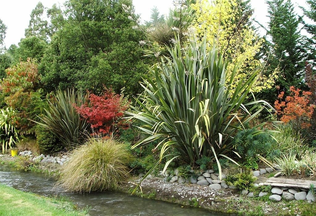 Garden with stream and plants