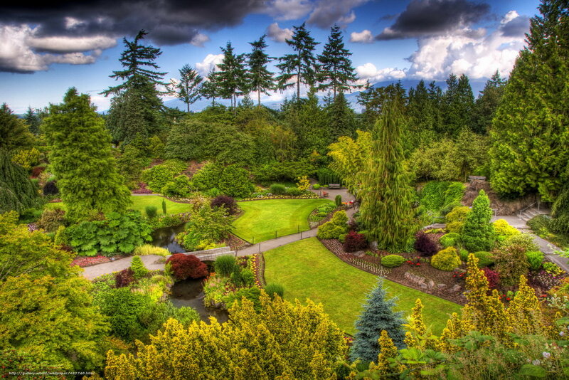 Garden with stream and trees