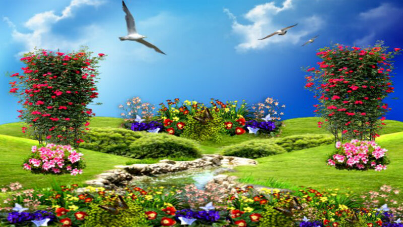 Garden with Stream — Green, Serene, Afternoon