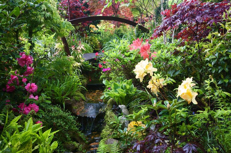 Garden with Stream — Green