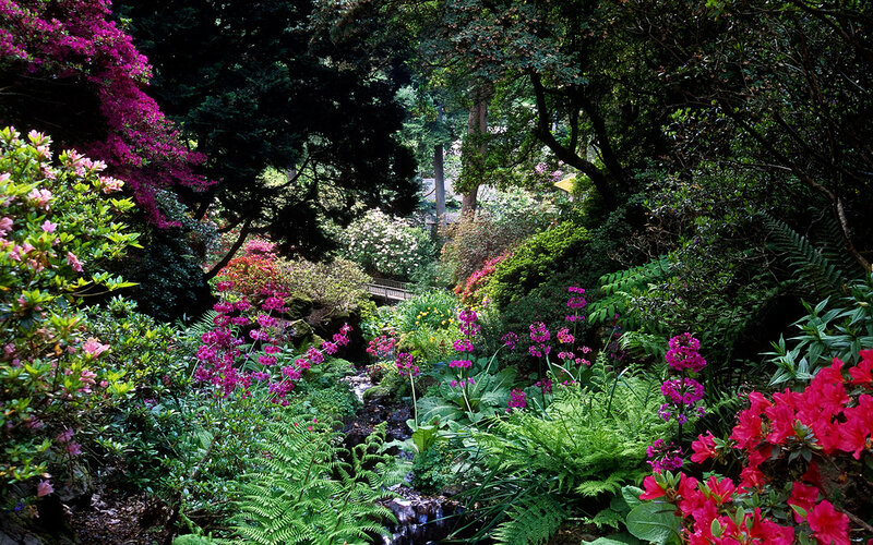 Garden with Stream