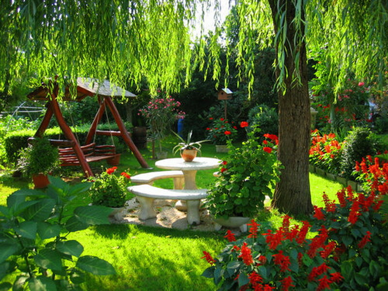 Garden with Swing and Table
