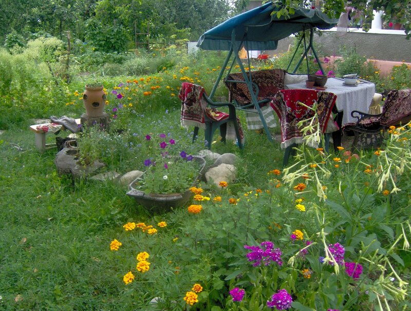 Garden with Swing Set