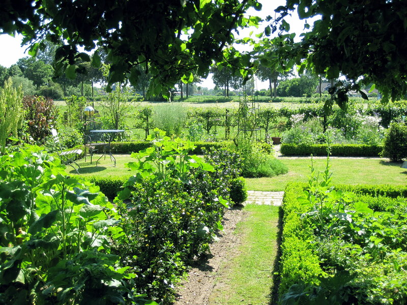 Garden with Table and Chairs