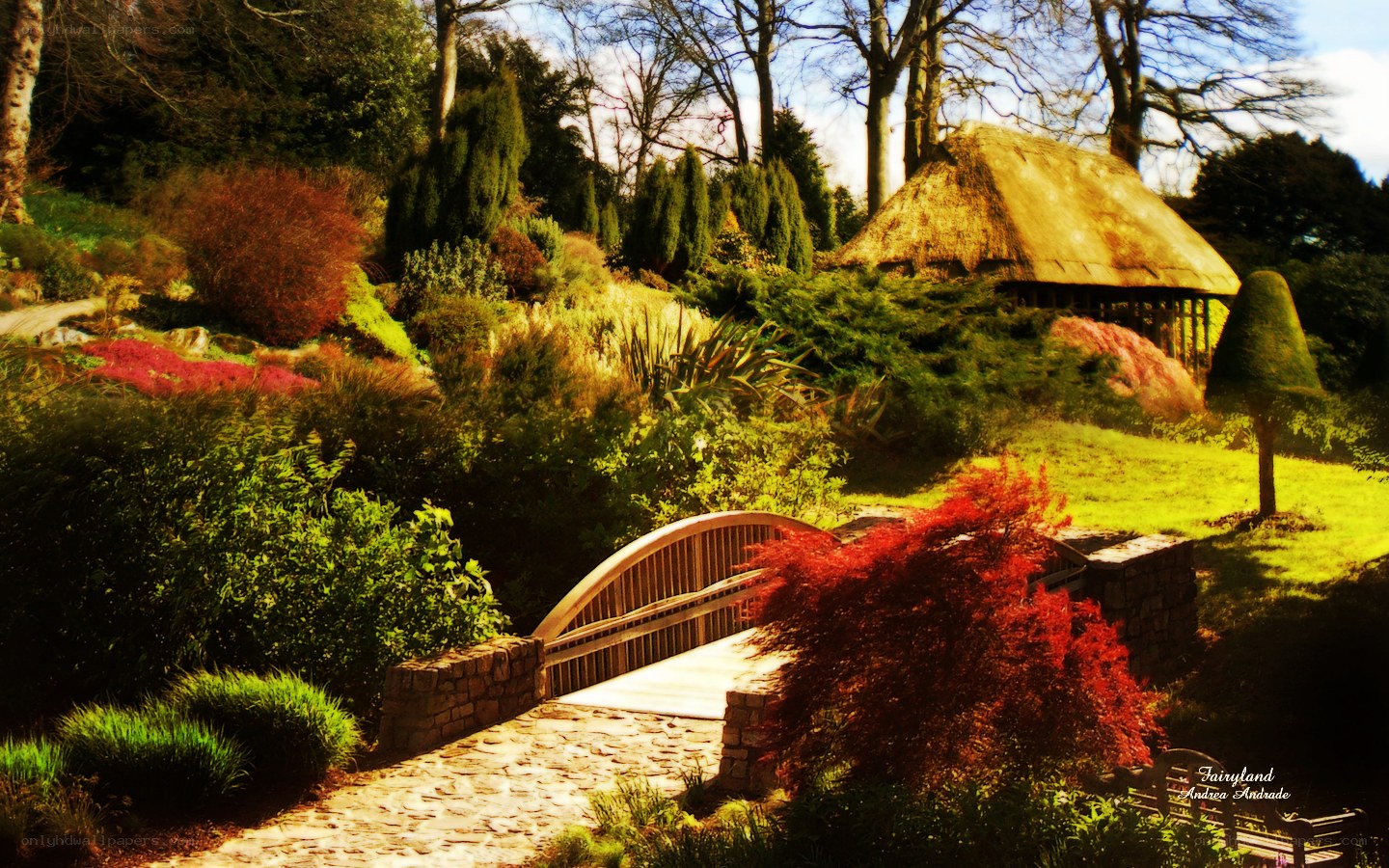 Garden with thatched hut