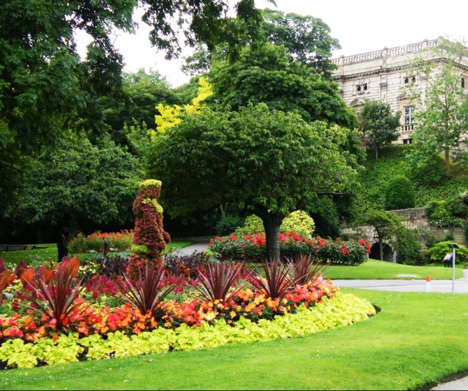 Garden with topiary and flowers