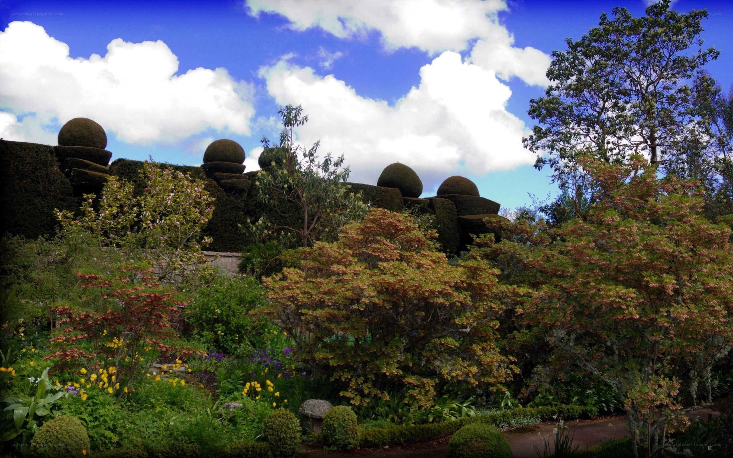 Garden with topiary and trees