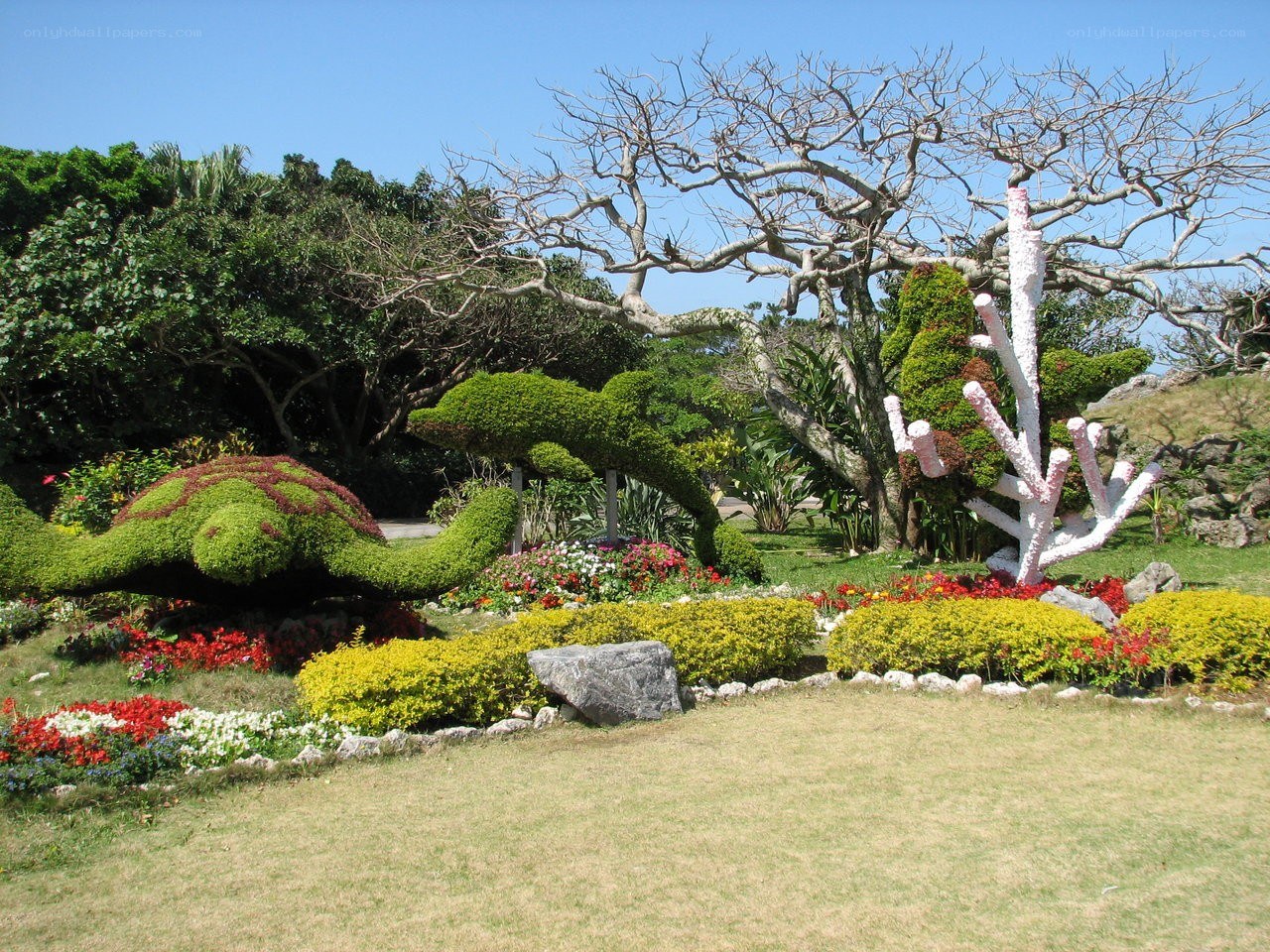 Garden with topiary sculptures