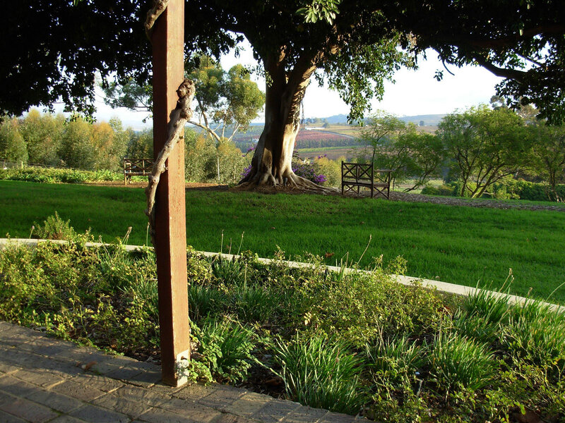 Garden with tree and bench