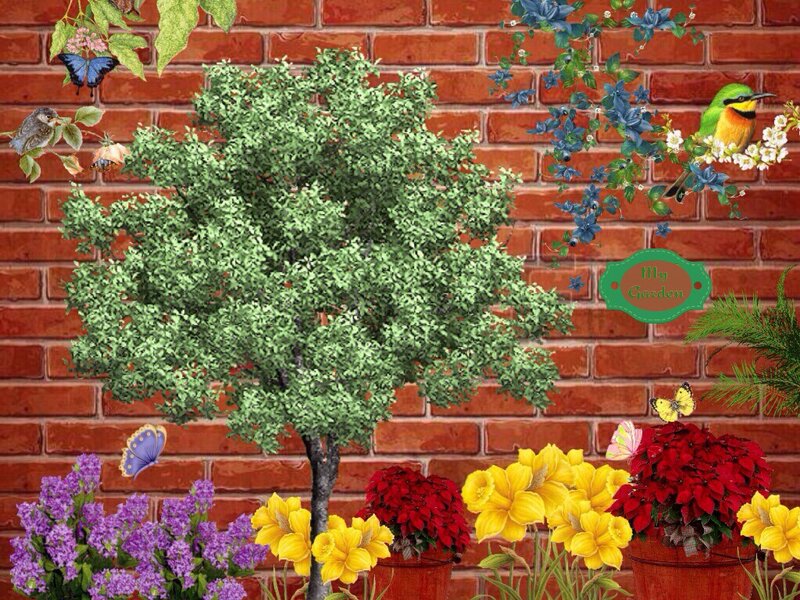 Garden with Tree and Flowers