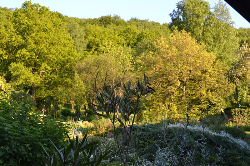 Garden with Trees