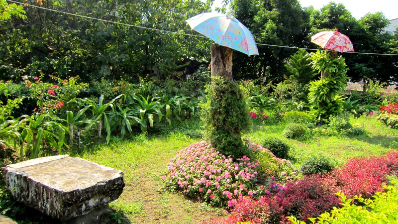 Garden with Umbrellas