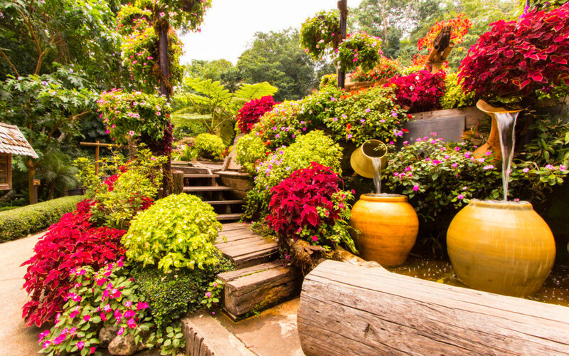 Garden with Water Feature