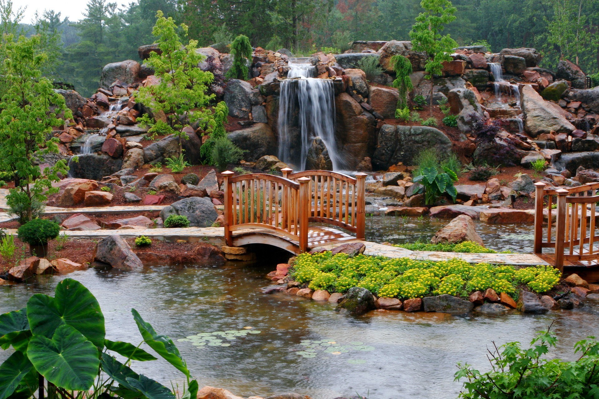 Garden with waterfall and bridge