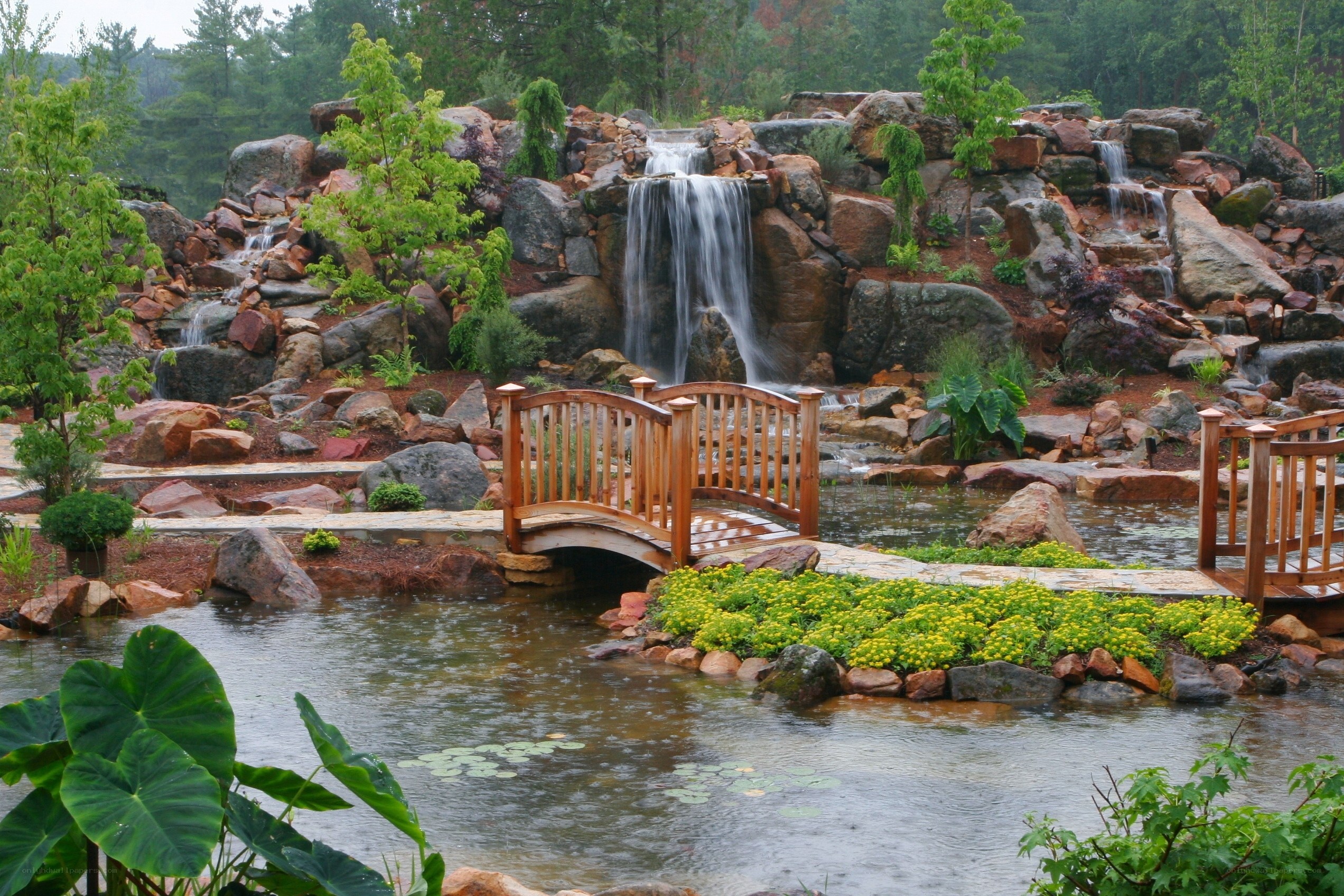 Garden with waterfall and bridge