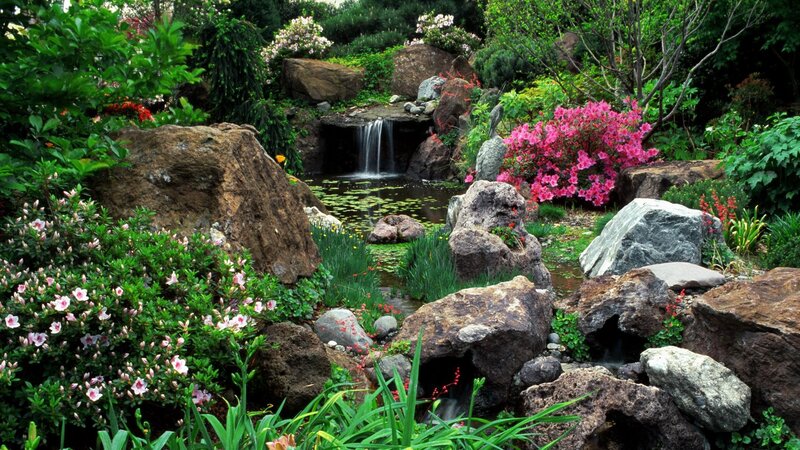 Garden with waterfall and flowers
