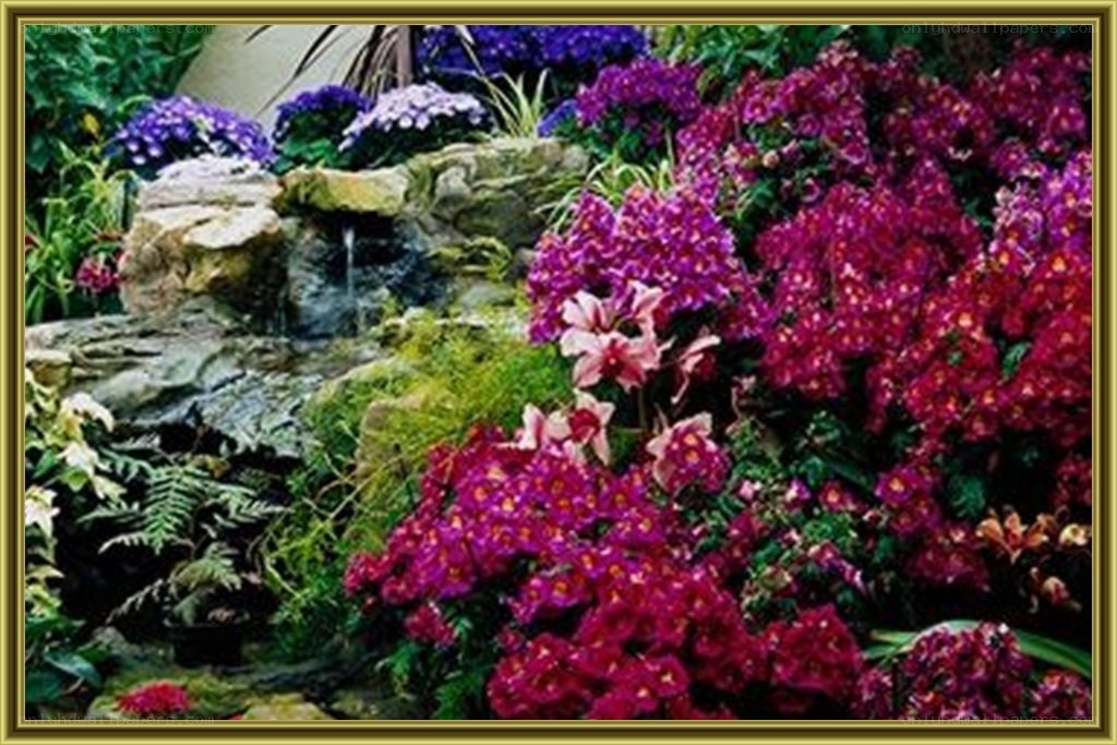 Garden with waterfall and flowers