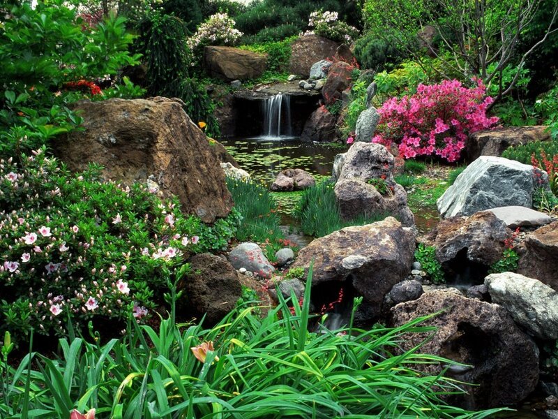 Garden with waterfall and flowers