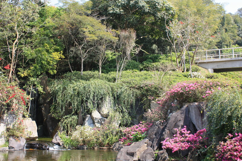 Garden with waterfall and flowers