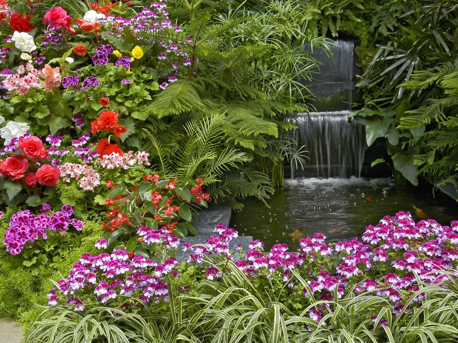 Garden with waterfall and pond
