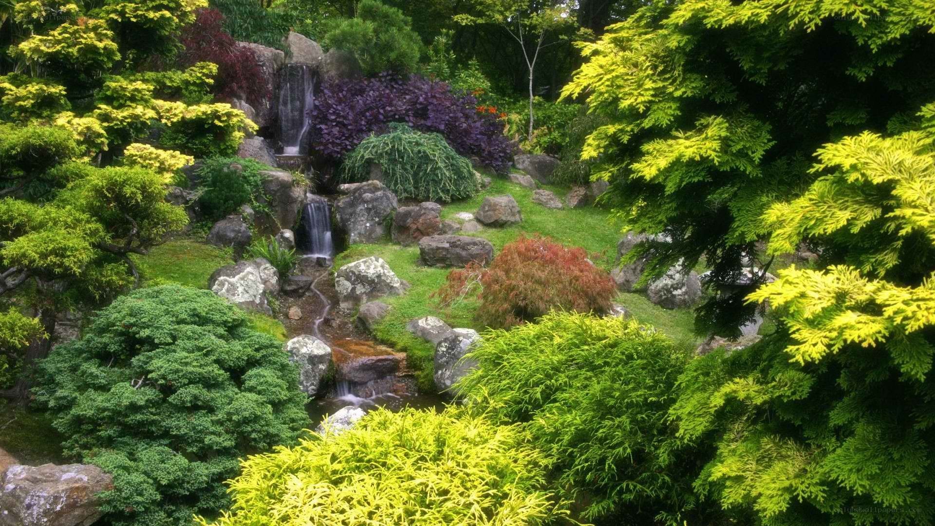 Garden with waterfall and rocks