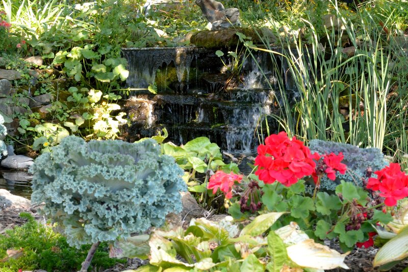 Garden with Waterfall — Green, Serene, Afternoon, Photograph, Kale