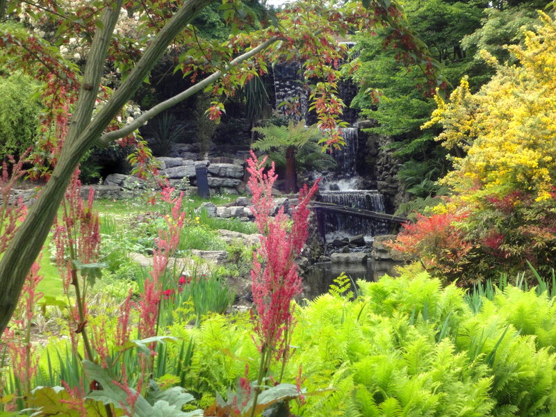 Garden with Waterfall — Green, Serene, Afternoon, Photograph, Plants