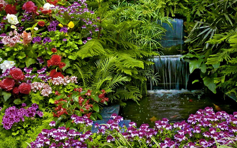 Garden with Waterfall — Green, Serene, Afternoon