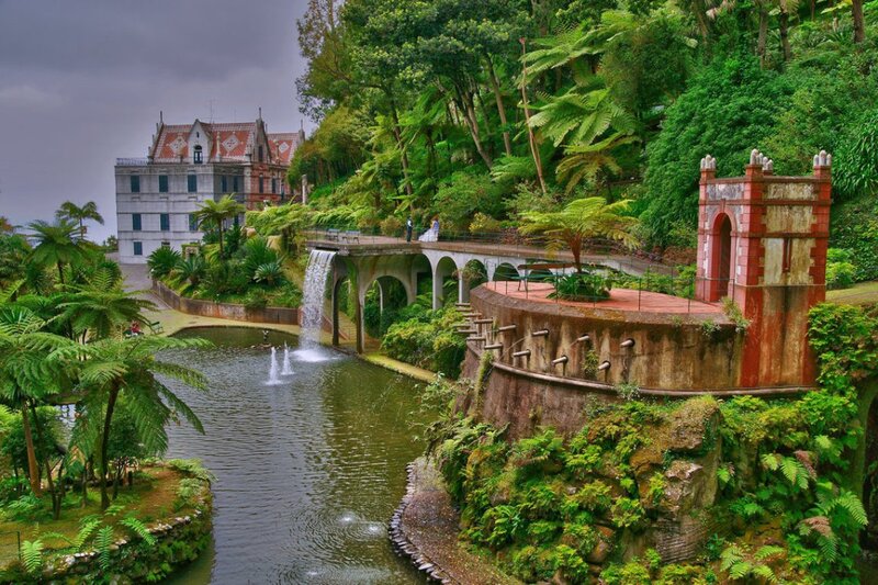 Garden with Waterfall — Green, Serene, Photograph