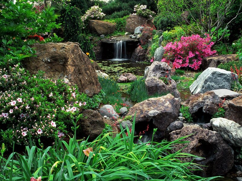 Garden with Waterfall — Green, Serene, Spring, Photograph, Flowers, Rocks, Pond, Plants