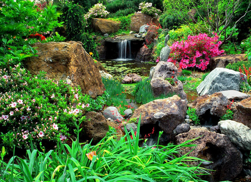 Garden with Waterfall — Green, Serene, Spring, Photograph, Flowers, Rocks, Pond