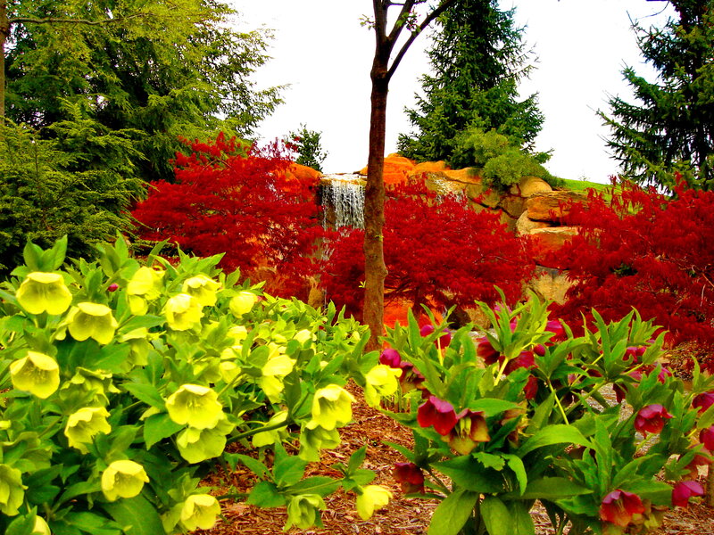Garden with Waterfall — Green, Serene, Spring, Photograph