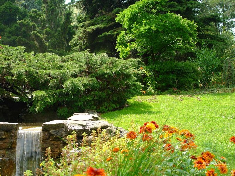 Garden with Waterfall — Green