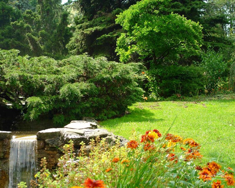 Garden with Waterfall