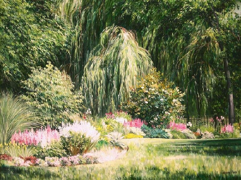 Garden with Weeping Willow