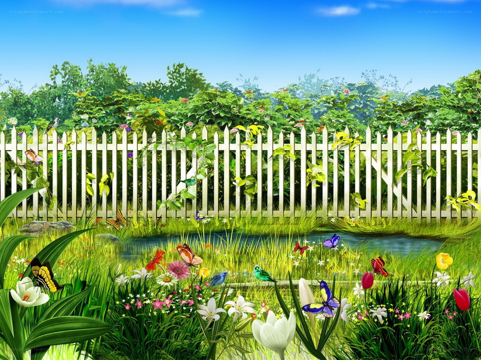 Garden with white fence