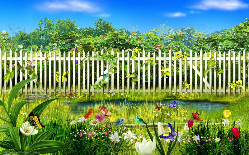 Garden with White Fence — Green, Serene