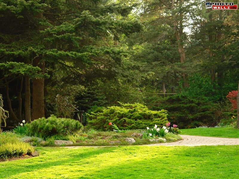 Garden with Winding Path — Green, Serene, Afternoon