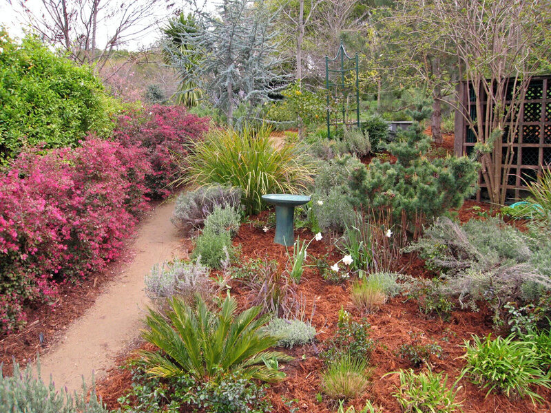 Garden with Winding Path — Green