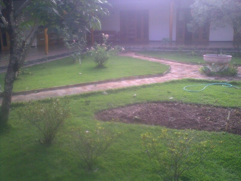 garden with winding path