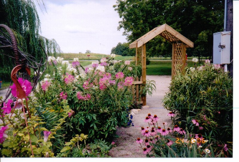 Garden with Wooden Arch
