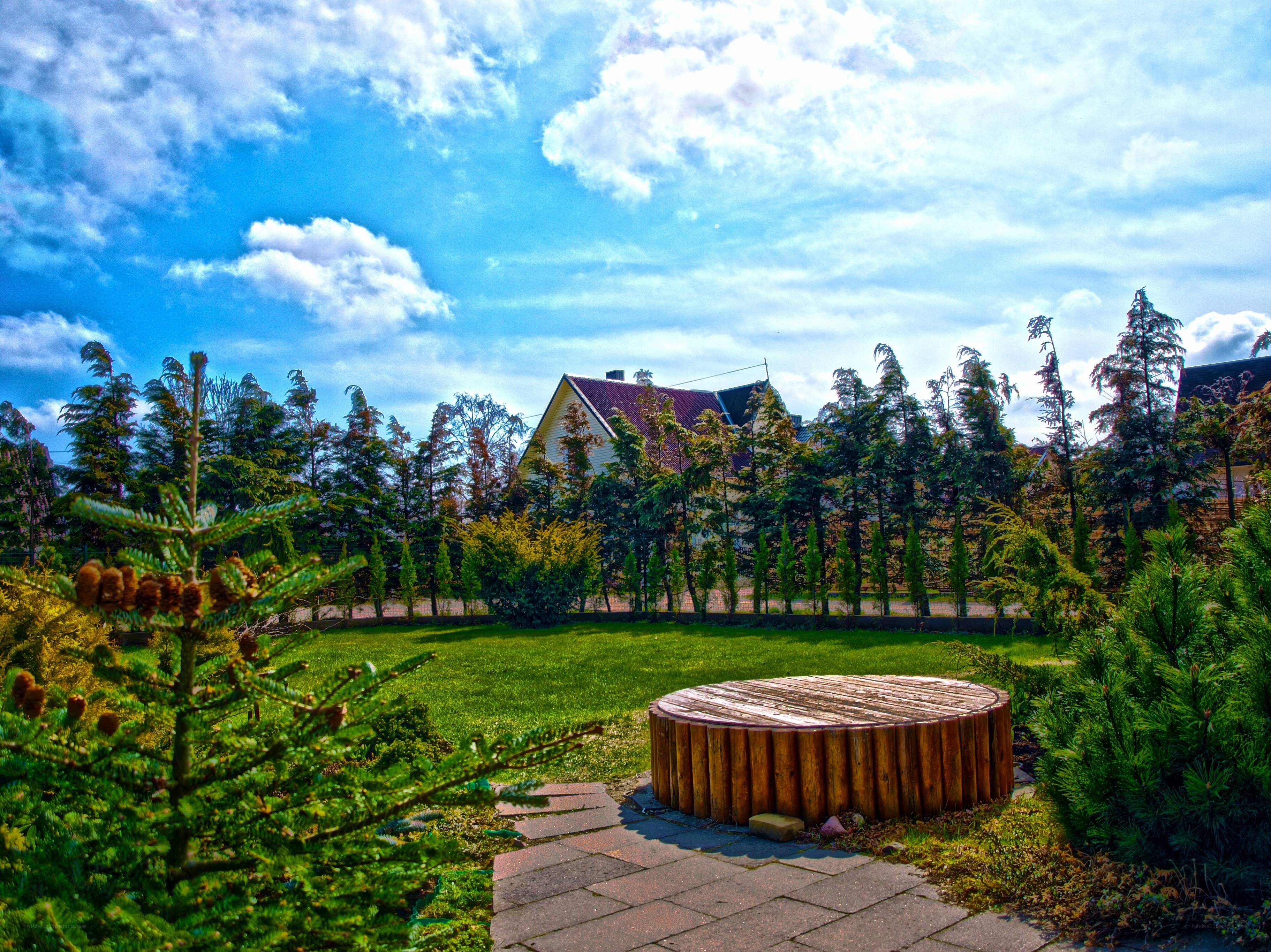 Garden with wooden bench