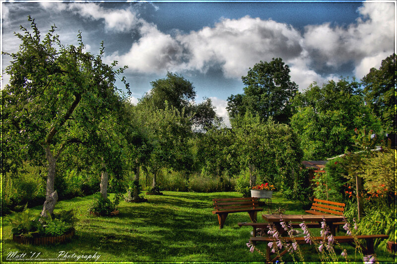 Garden with wooden benches