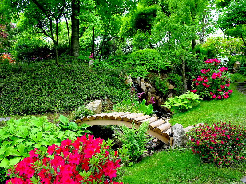 Garden with Wooden Bridge — Green